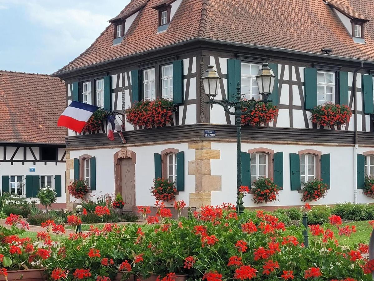 Cosy Holiday Home In Schleithal With Garden Exterior foto